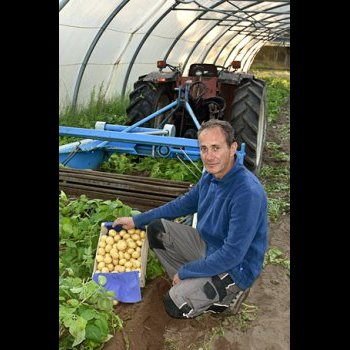 Dominique Fradin, « Légumes de chez nous »