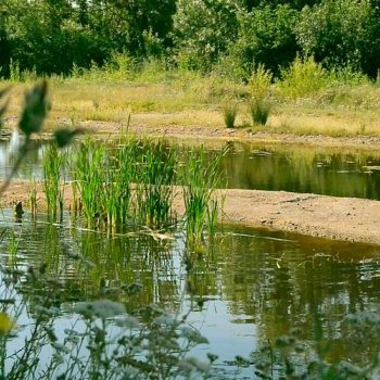 La genèse d'un centre commercial bioclimatique