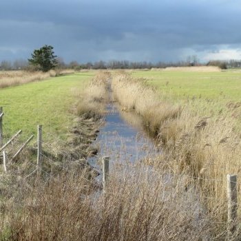 Une attention au territoire