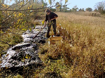 Restauration-création d'un réseau hydrologique aux Sentiers du Marais à Saint-Jean-de-Monts