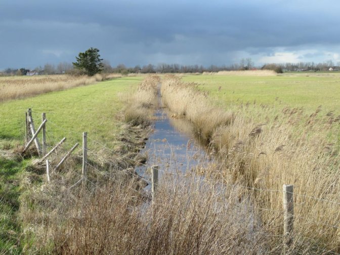 Territoire, commerce et bioclimatique à Saint-Jean-de-Monts